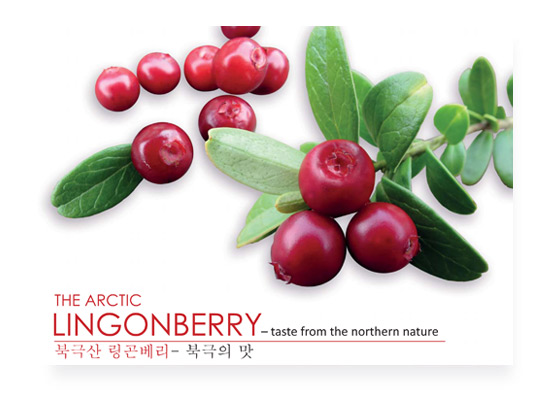 lingonberry_en_ko.jpg