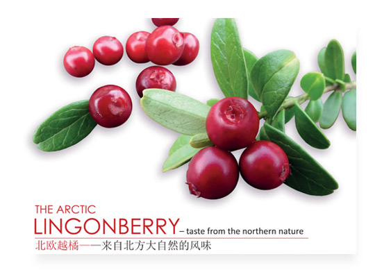 lingonberry_en_zh.jpg