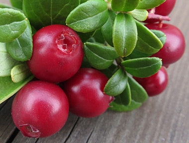 Confiture traditionnelle d’airelles rouges