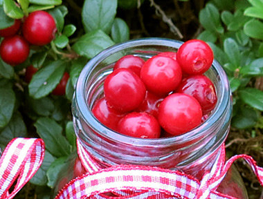 Pain aux noix et aux airelles rouges